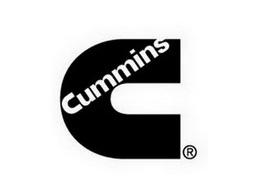 CUMMINS S DE RL DE CV