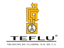 TECNICAS DE FLUIDOS SA DE CV